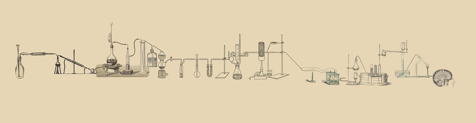 the tools evolution in science, from taught to result
